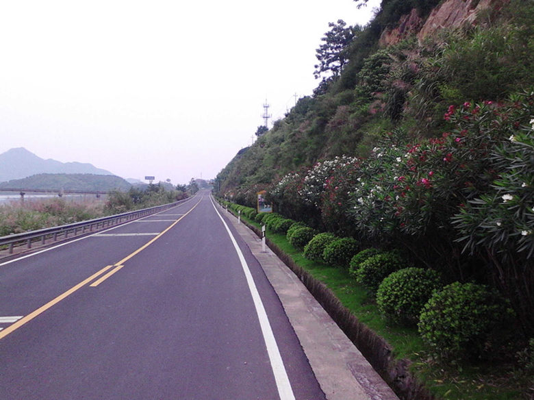 道路灌缝胶|价格
